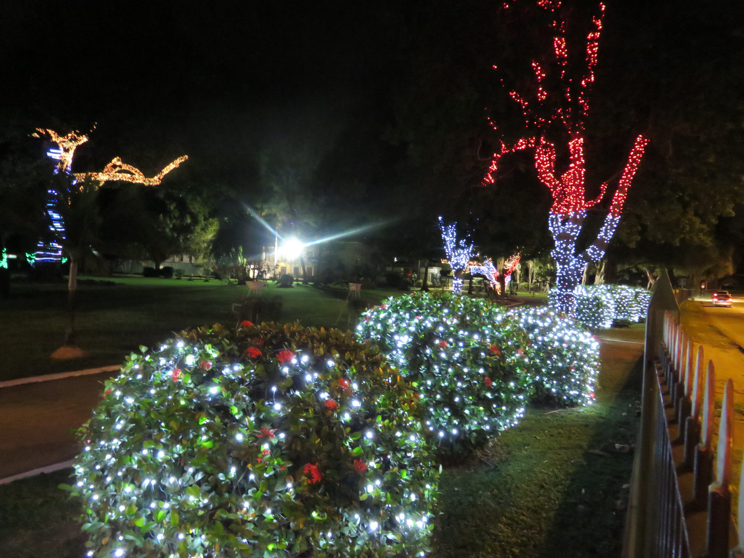 The Best Destinations in Trinidad to get into the spirit of Christmas