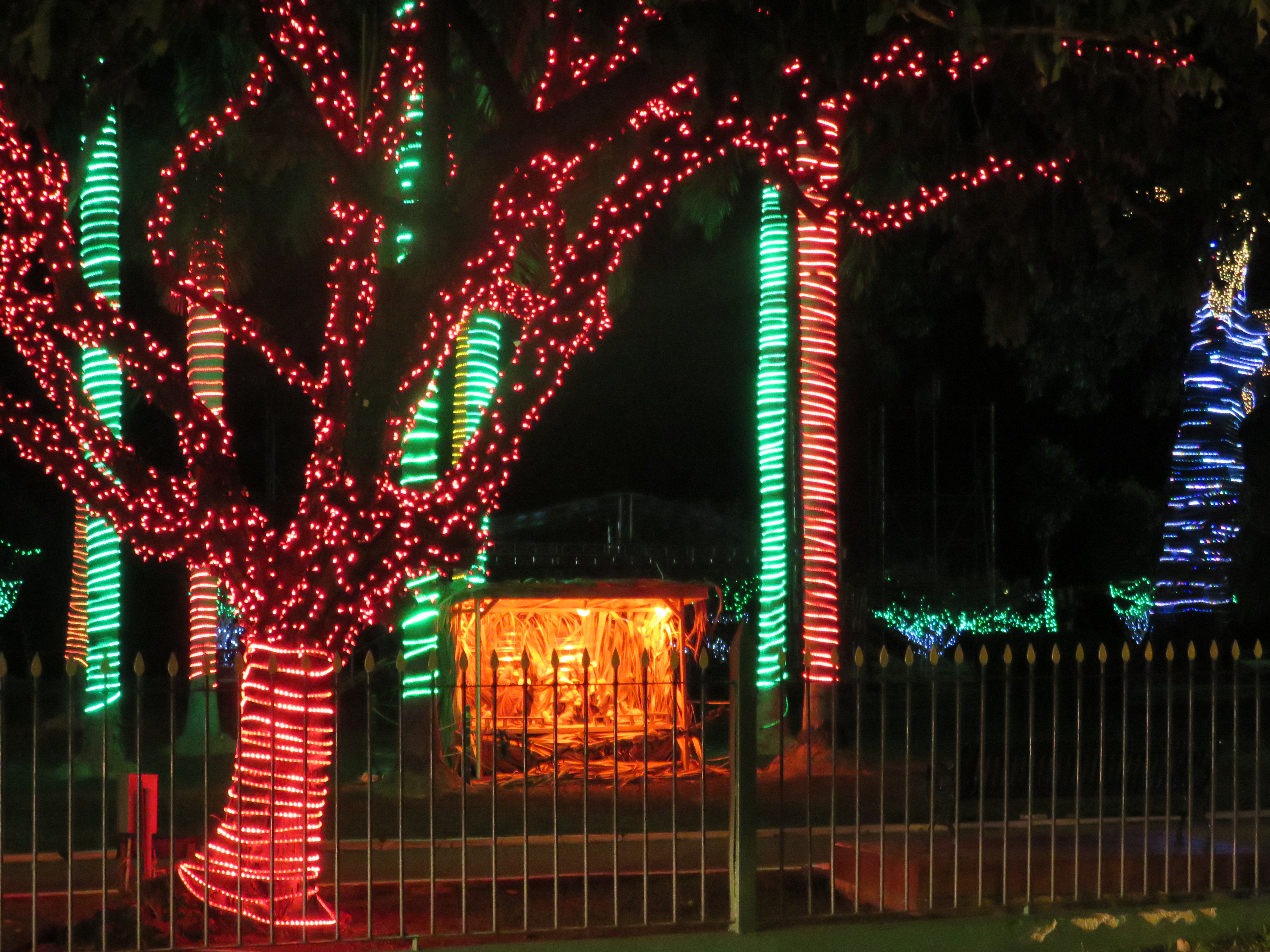 The Best Destinations in Trinidad to get into the spirit of Christmas