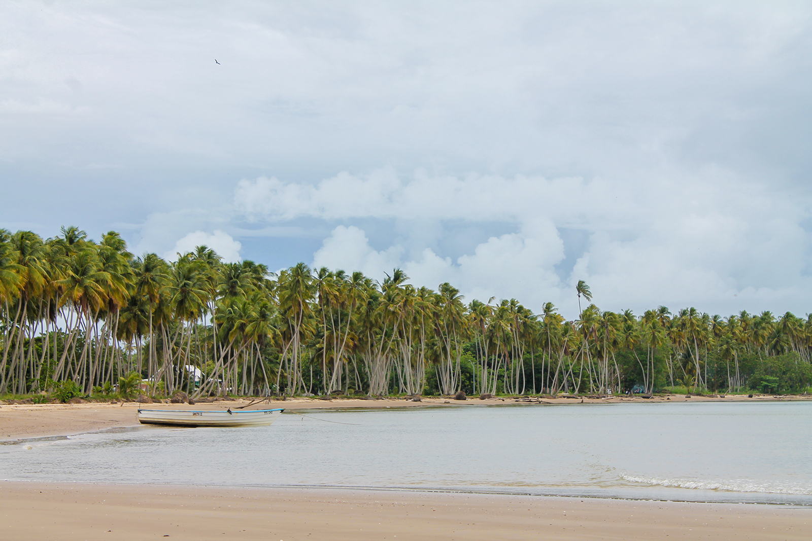 Columbus Bay: Destination Trinidad and Tobago | Tours, Holidays ...