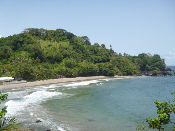 Shark River: Destination Trinidad and Tobago | Tours, Holidays ...