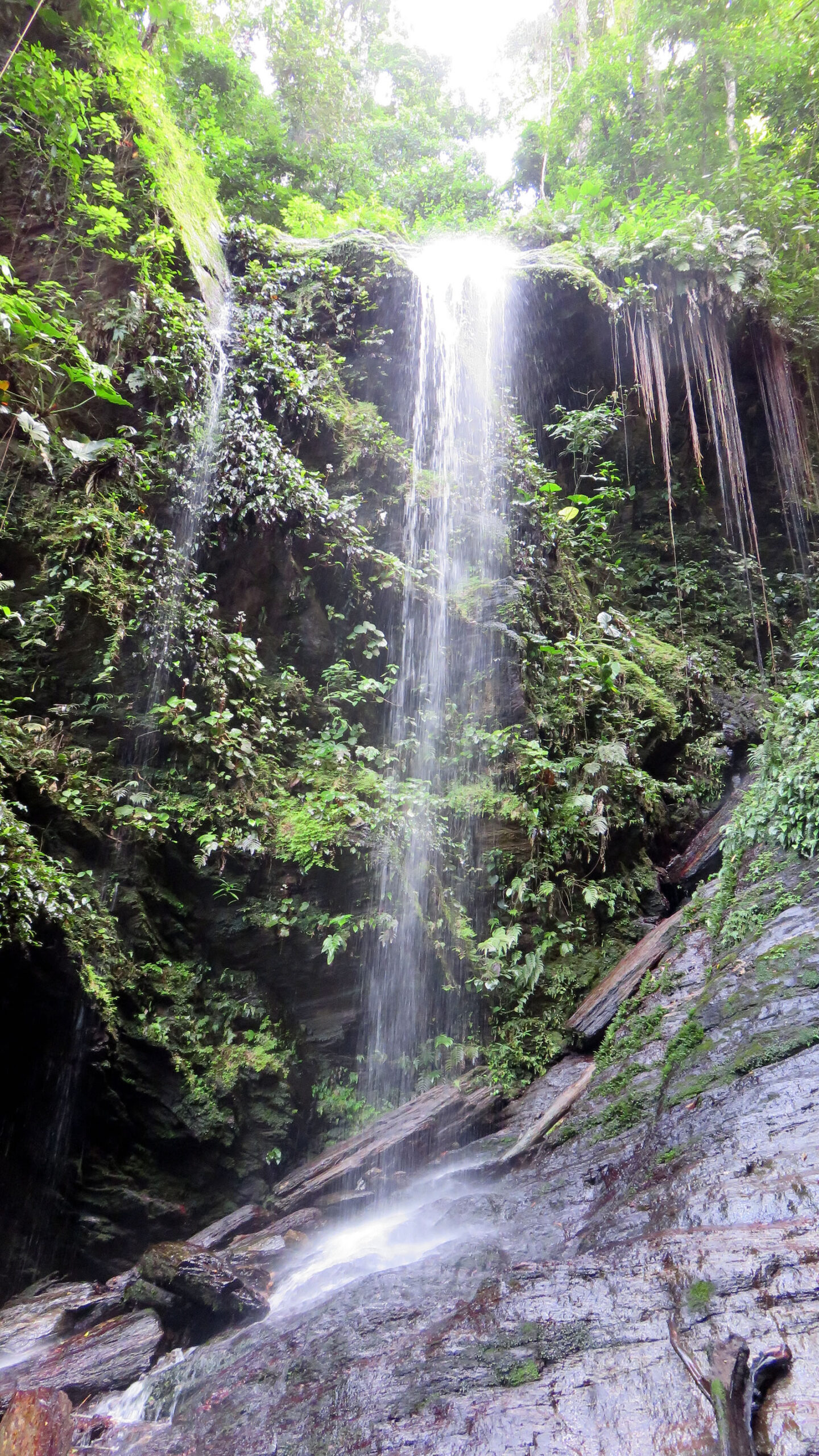 Angel Falls: Destination Trinidad And Tobago 