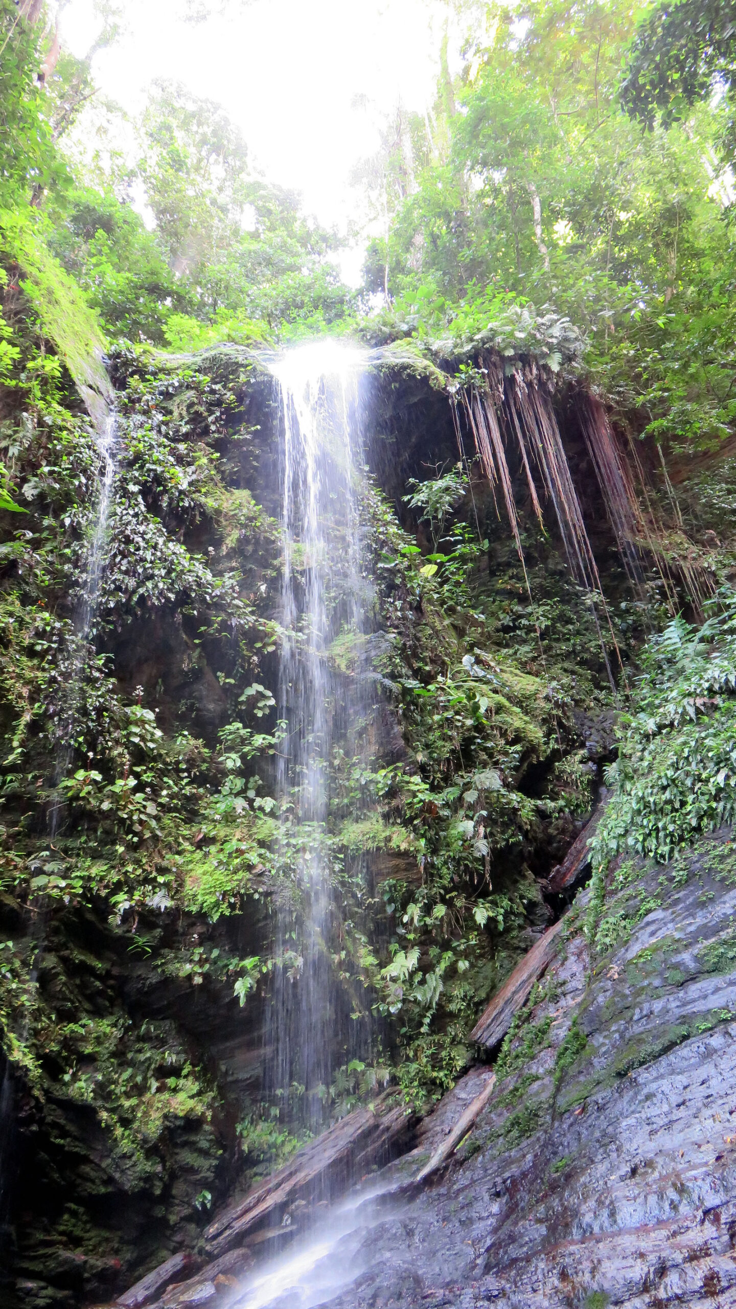 Angel Falls: Destination Trinidad and Tobago | Tours, Holidays ...