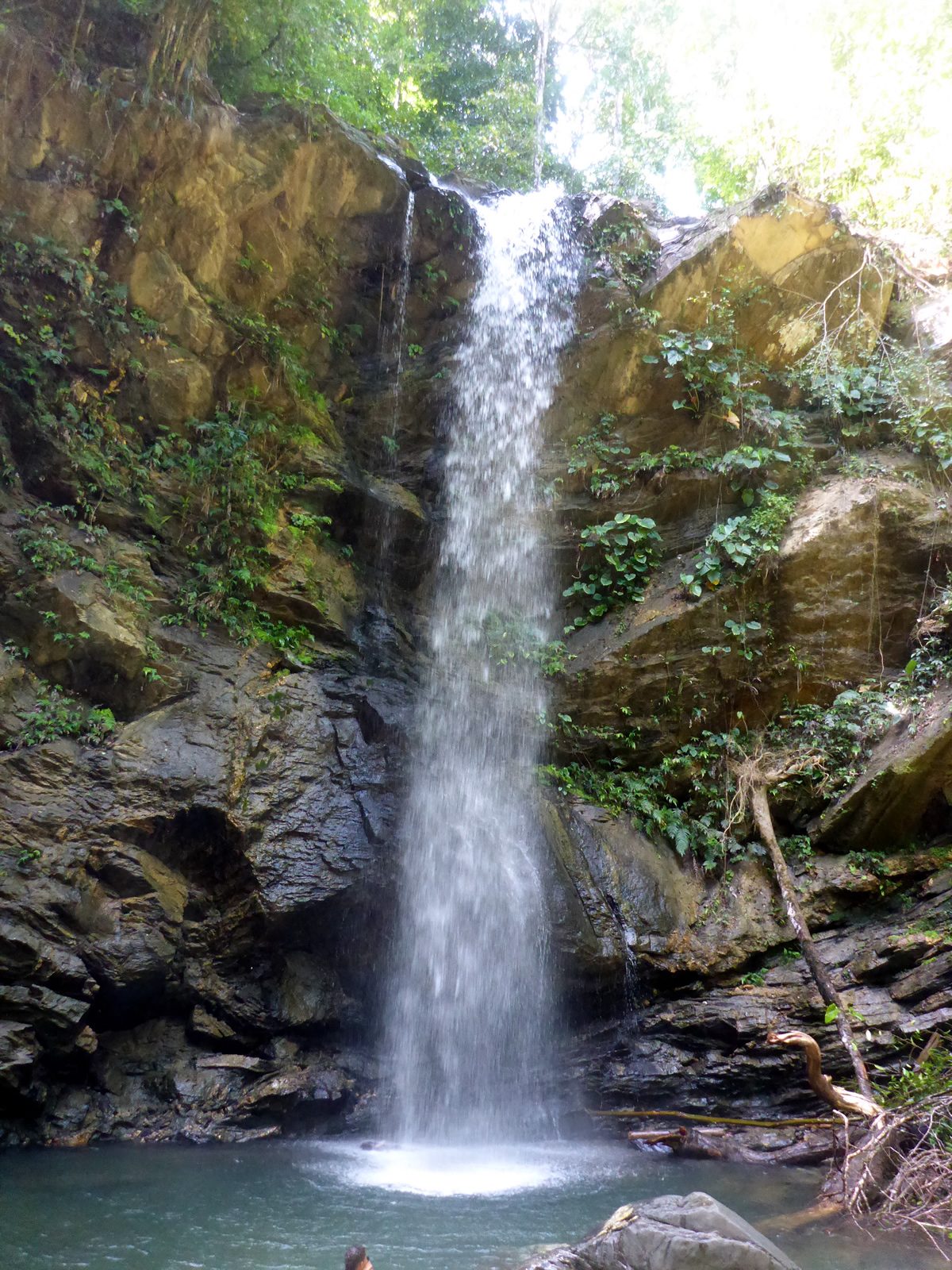 Avocat Waterfall: Destination Trinidad and Tobago | Tours, Holidays ...