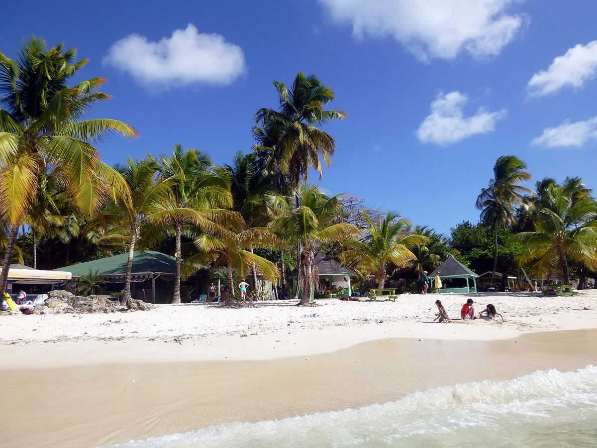 Pigeon Point: Destination Trinidad And Tobago 