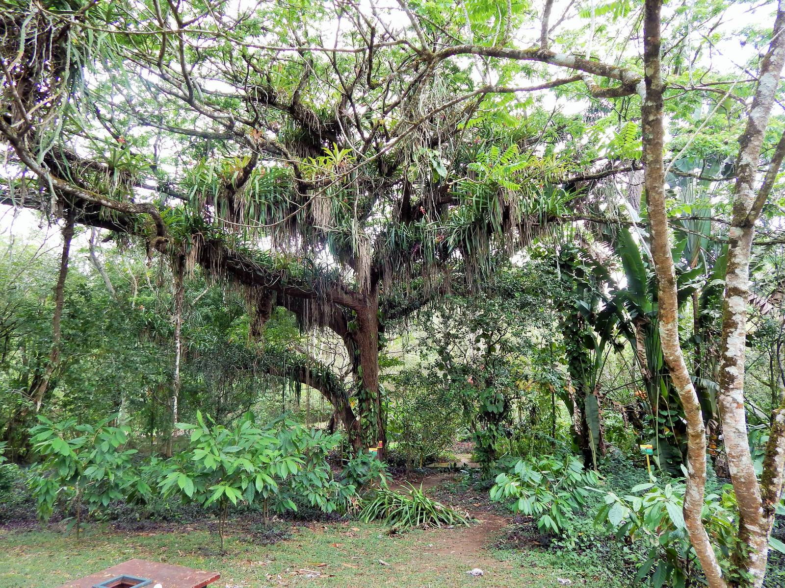 Adventure Farm and Nature Reserve: Destination Trinidad and Tobago ...