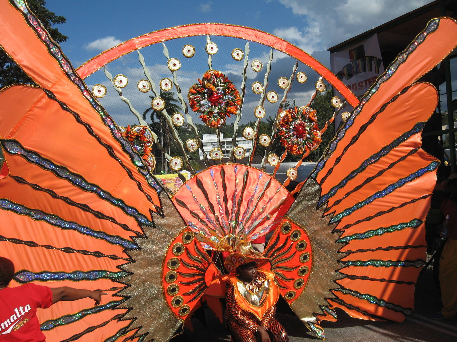 Trinidad Carnival: Destination Trinidad and Tobago