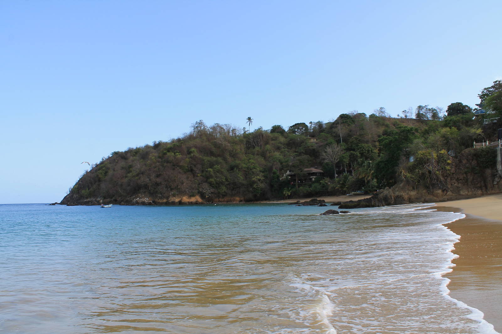 Castara Bay: Destination Trinidad and Tobago | Tours, Holidays ...