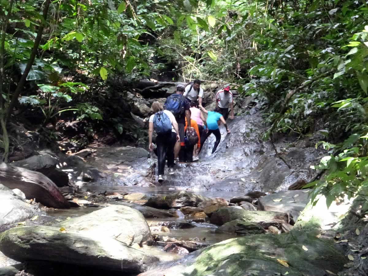 Covigne River Gorge: Destination Trinidad and Tobago | Tours, Holidays ...