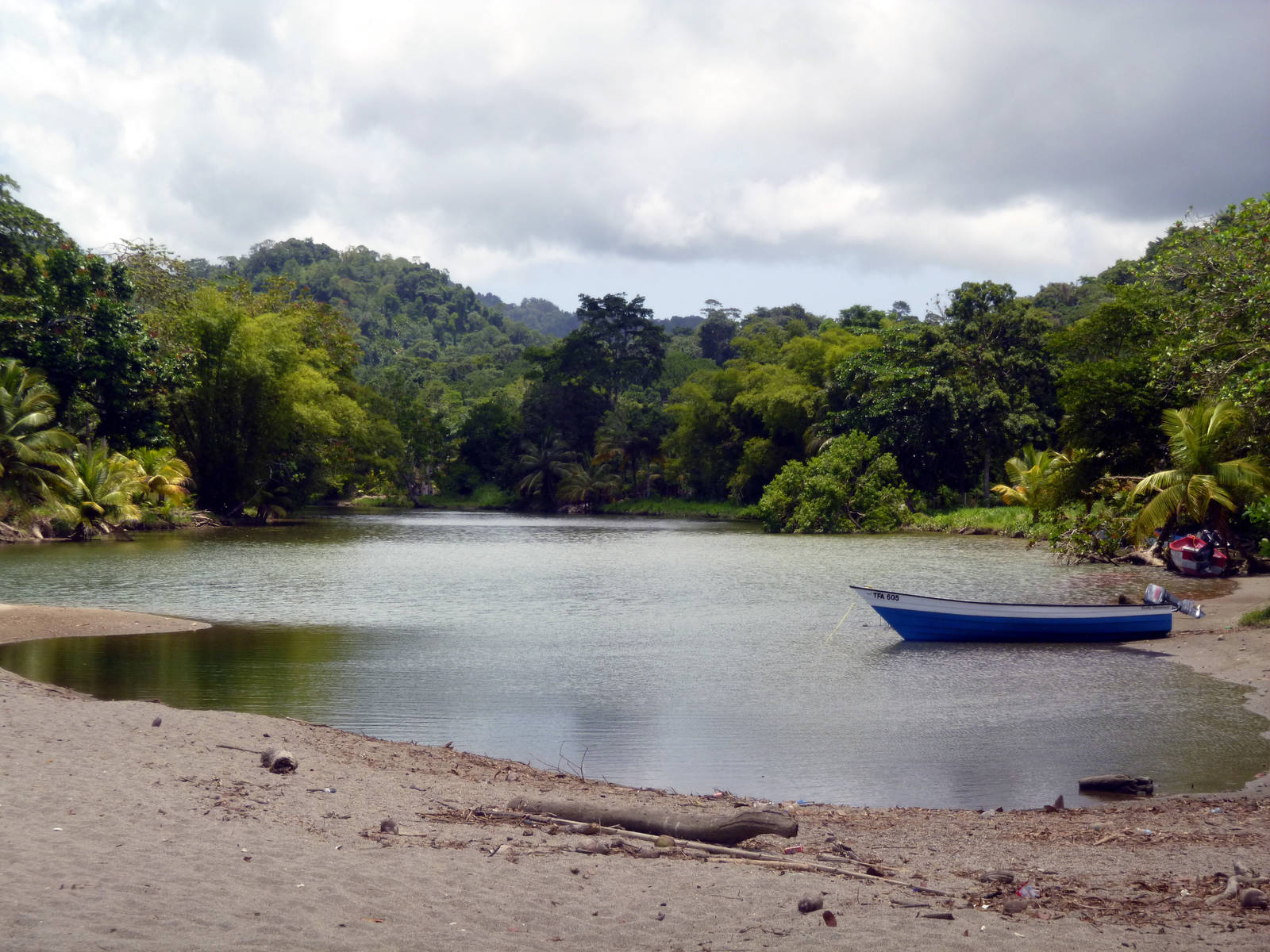 Grande Riviere Beach: Destination Trinidad and Tobago | Tours, Holidays ...