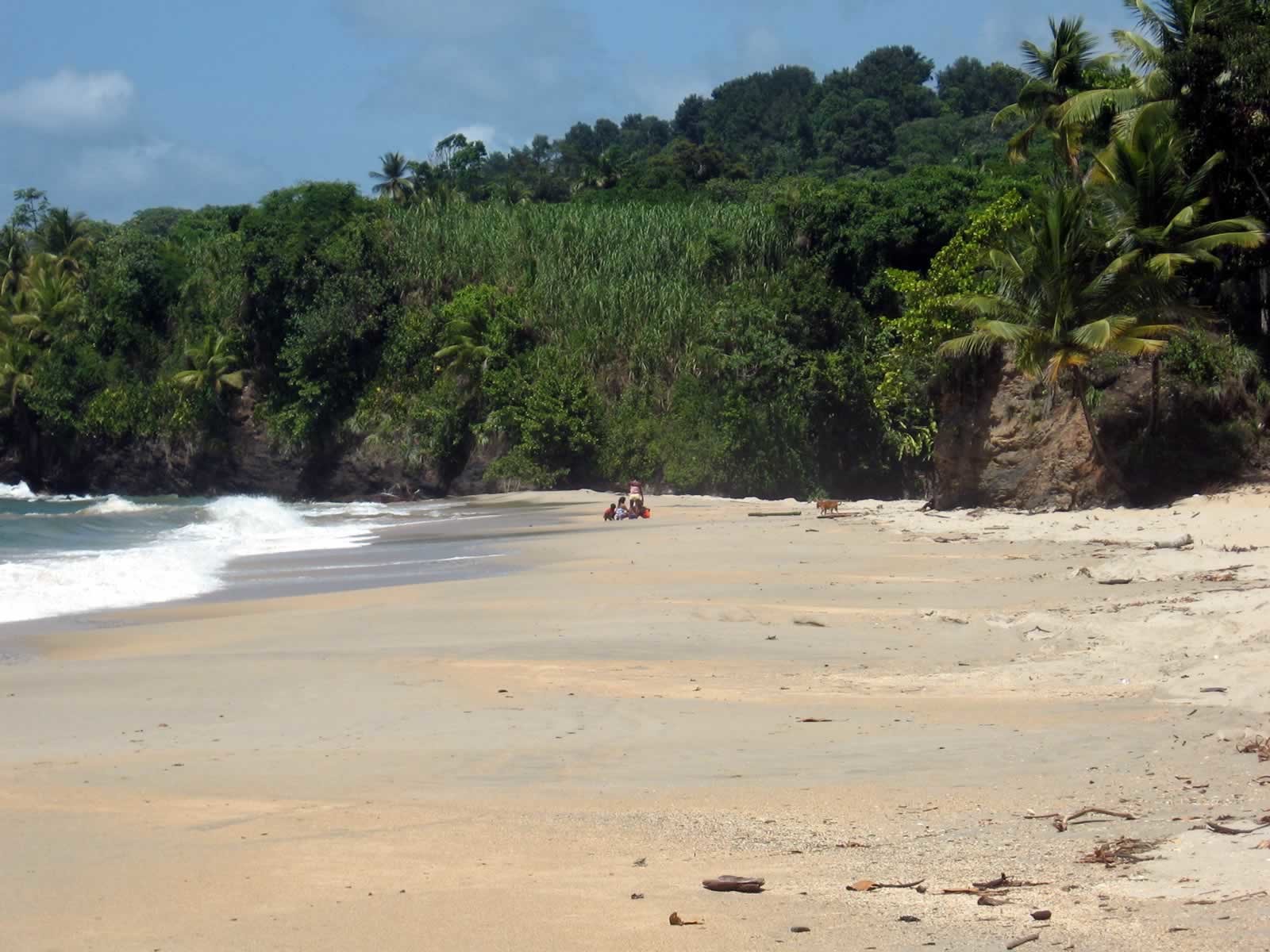 Day Trip to Las Cuevas Beach from Port of Spain: Destination Trinidad ...